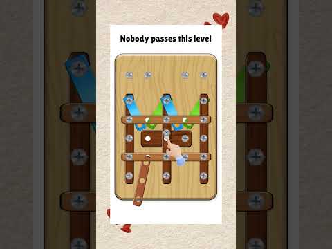 Wood Nuts Master Challenge video thumbnail