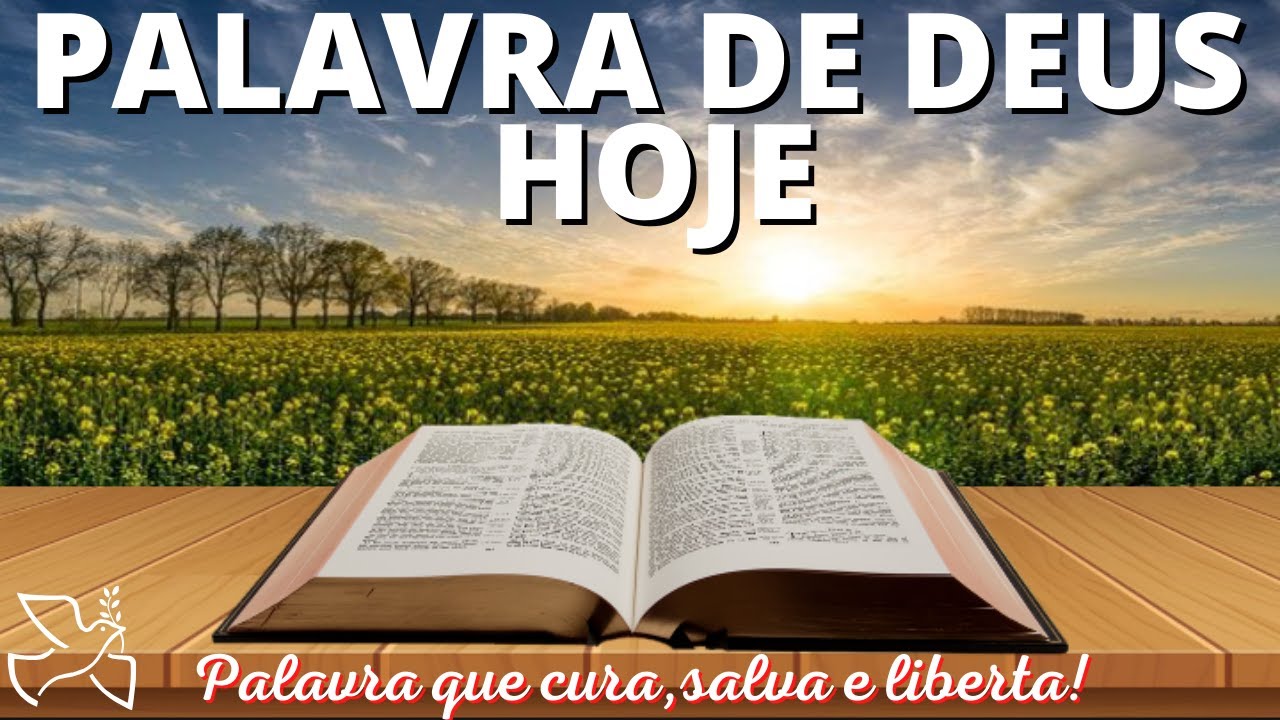Palavra de Deus para mim hoje | Deus pode preencher o vazio que há em você (Lc 12,13-21)