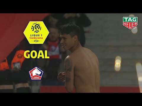 Goal Luiz ARAUJO (88') / LOSC - Angers SCO (5-0) (LOSC-SCO) / 2018-19
