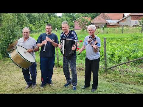 Lăutarii din Alova, Valea Timocului