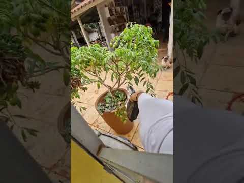 Entrega fora da cidade 🚚 45km de estrada