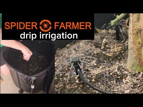 Spider Farmer auto drip irrigation (Setup)