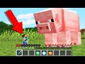 Minecraft But Your Health Is Your Size