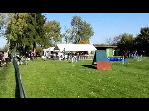 Halloween Turnier in Harthausen.