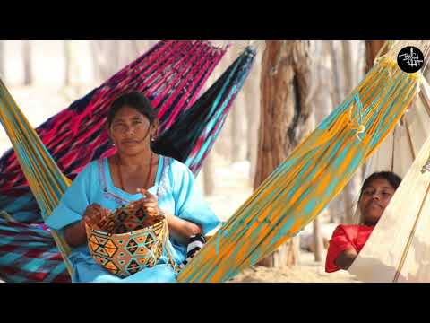 The Wayuu People