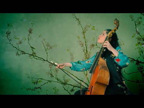 SAINTE-COLOMBE // 'Manuscrit de Tournus, Suite en ré mineur: Chaconne' by Lucile Boulanger