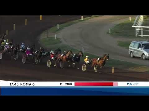 Premio Derby Italiano Del Trotto 2023 - Expo Wise As & Allesandro Gocciadoro