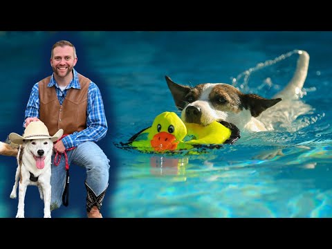 Man in plaid shirt and brown vest sits with a white dog wearing a cowboy hat by a poolside with a leash