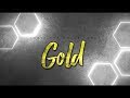 Louisiana Cheer Force Gold 2018 19