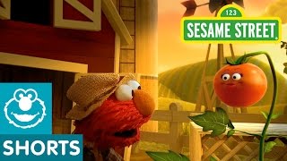 Sesame Street: Elmo The Musical Tomato (Preview)