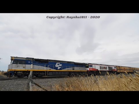 CF4403-CSR005 - Gheringhap