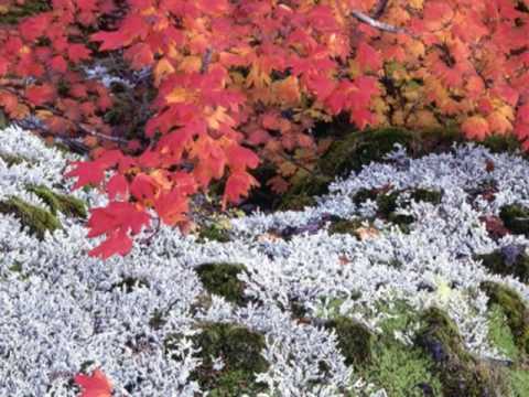 My Choice 418 - Waldteufel: Joujou Polka Francaise