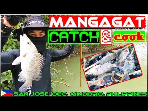 EP30 - Mangagat Fish Catch and Cook {Pangangawil ng isda sa ilog}