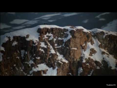 download lagu mp3 mp4 Rocky Iv Eye Of The Tiger, download lagu Rocky Iv Eye Of The Tiger gratis, unduh video klip Rocky Iv Eye Of The Tiger