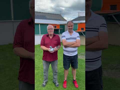 1. Nat. Limoges II against 9,218 yearlings/fastest 16,204 b. Wim and Steven De Troy (BE20-6181006)