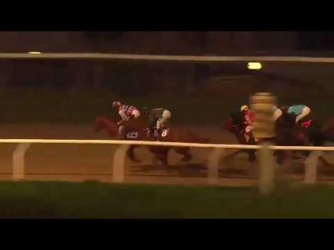 2014.11.09 Svenskt Kriterium - Shalalee