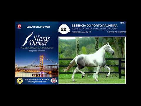 22 ESSÊNCIA DO PORTO PALMEIRA