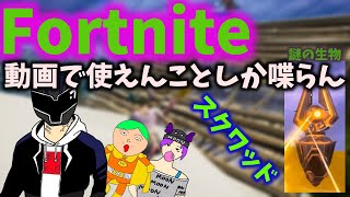 【フォートナイト】動画で使えんことしか喋らん人達のスクワッド