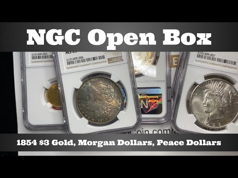 NGC Open Box - 1854 $3 Gold, Morgan Dollars, Peace Dollars - Coin Grade Results