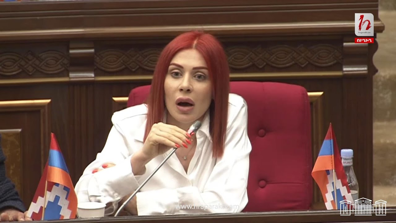 Տուռնիկից կախվելուց հեռու պատգամավորին խորհուրդ եմ տալիս չուղղորդել