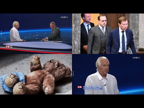 Psychiater Frottier zum Teichtmeister Urteil