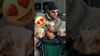 Download lagu kece #trending #fypshorts #avee_player #djtanpaiklan #djcampuran #djmeresahkan #remix #djviral #dj mp3 Download lagu kece #trending #fypshorts #avee_player #djtanpaiklan #djcampuran #djmeresahkan #remix #djviral #dj mp3