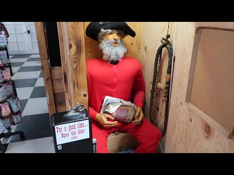 South Florida’s BEST HIDDEN & WACKIEST ROADSIDE ATTRACTION!  DINOSAUR PARK at LARGEST SHELL FACTORY