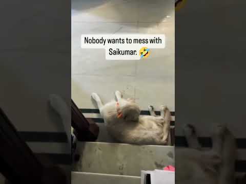 #saikumar 🤘😅  #kannadashorts