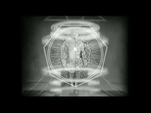 Volden. Desechos. 2015