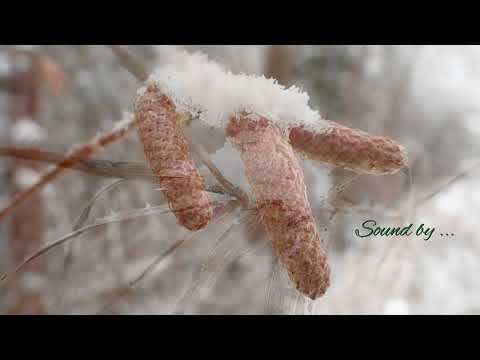 Der erste Schnee ist da ,,,,,