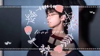 [FANMADE] Wang JunKai Video Show (Karry On)
