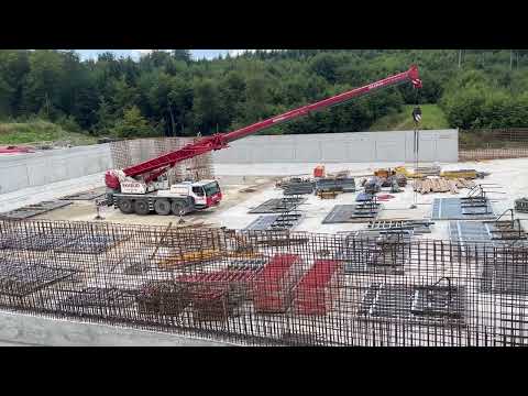 Tydzień 31 28.07-03.08.2025