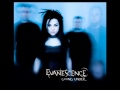 Evanescence - Heart Shaped Box [Live Acoustic ...