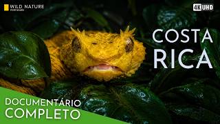 Paraíso Implacável - A Batalha Pela Vida na Costa Rica | Documentário Animal