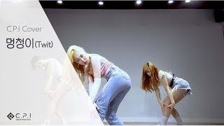 멍청이(Twit)_화사(Hwasa) [C.P.I_K-pop cover]