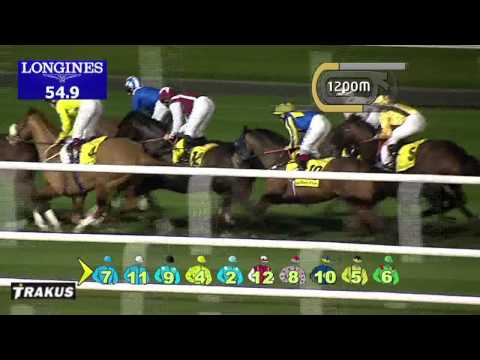 16.01.2014 Meydan (Dubai-UAE) 4.Race Dubai Duty Free Golf World Cup - Handicap 2.000 m