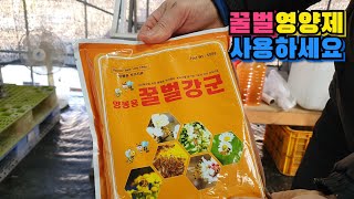 꿀벌건강관리  영양제챙겨주세요