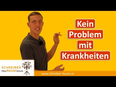 Dieser Faktor wird STARK UNTERSCHÄTZT! So werden Pflanzen nicht krank