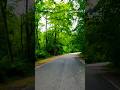 Mere Sang Sang Aayaa Kishore Kumar Kantipatelwaves Shorts Nature Bollywoodhitsongs