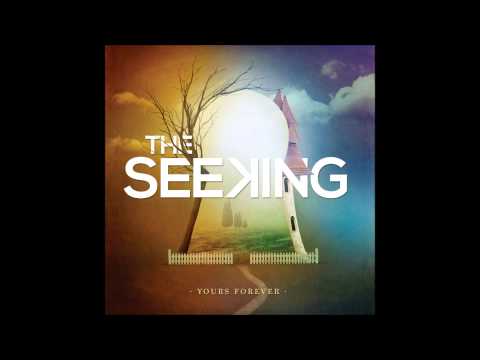 The Seeking - Narrow Lines [NEW 2012]