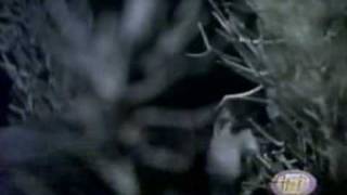 ≈Б La Barranca - La Caída