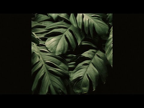 "The Promised Land" Prod. by Will