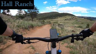 Upper Bitterbrush - Hall Ranch - Lyons - Colorado - Specialized Status