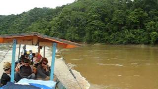 preview picture of video 'Amazon River Trip in Bolivia'