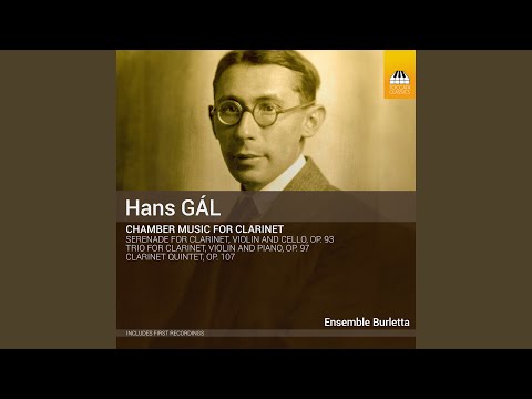 Clarinet Quintet, Op. 107: III. Poco adagio - Allegro molto