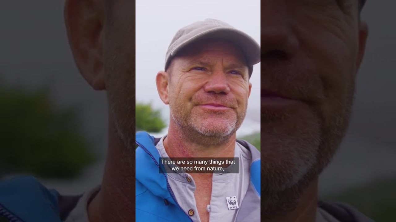 Steve Backshall on why nature matters for your mind | WWF #Nature #WorldMentalHealthDay