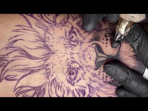 Lion tattoo | Time lapse
