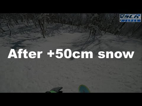 Japow after +50cm snow Jan.2019