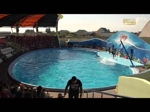 Мечты сбываются: Владик Логвин