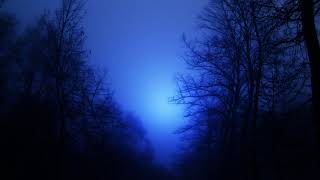 Music video thumbnail preview for Misanthropic Art -  Awaiting for a New Existence by Misanthropic Art